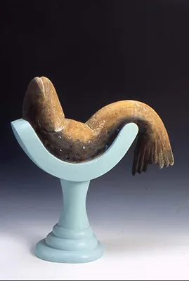Sleeping Fish