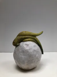 Snowball Bird