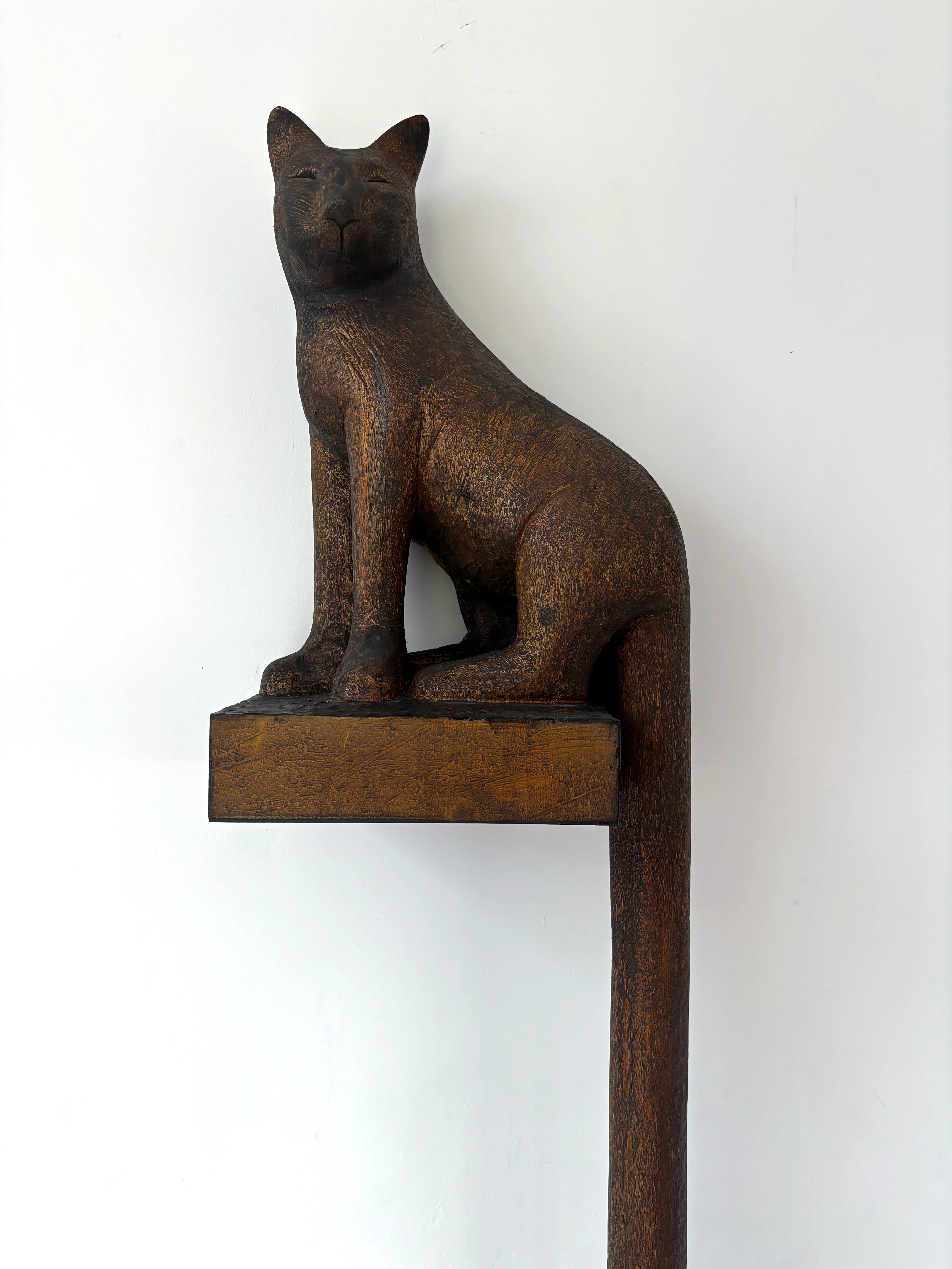 Beckett's Cat