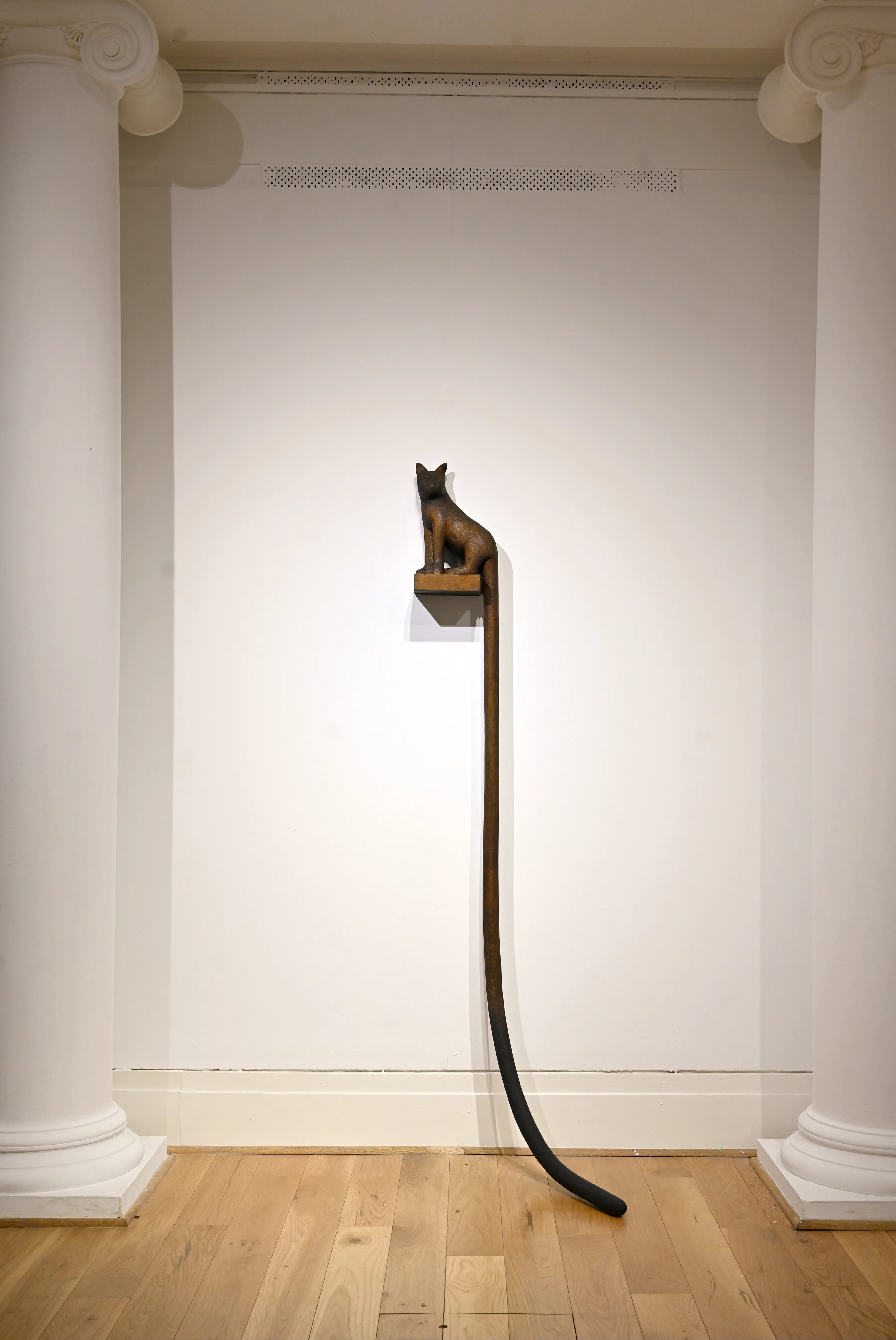 Beckett's Cat